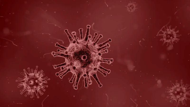 Coronavirus @pixabay