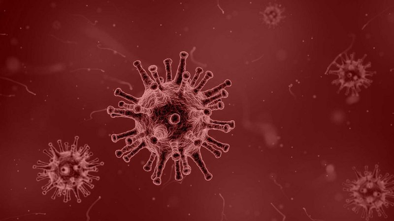 Coronavirus @pixabay